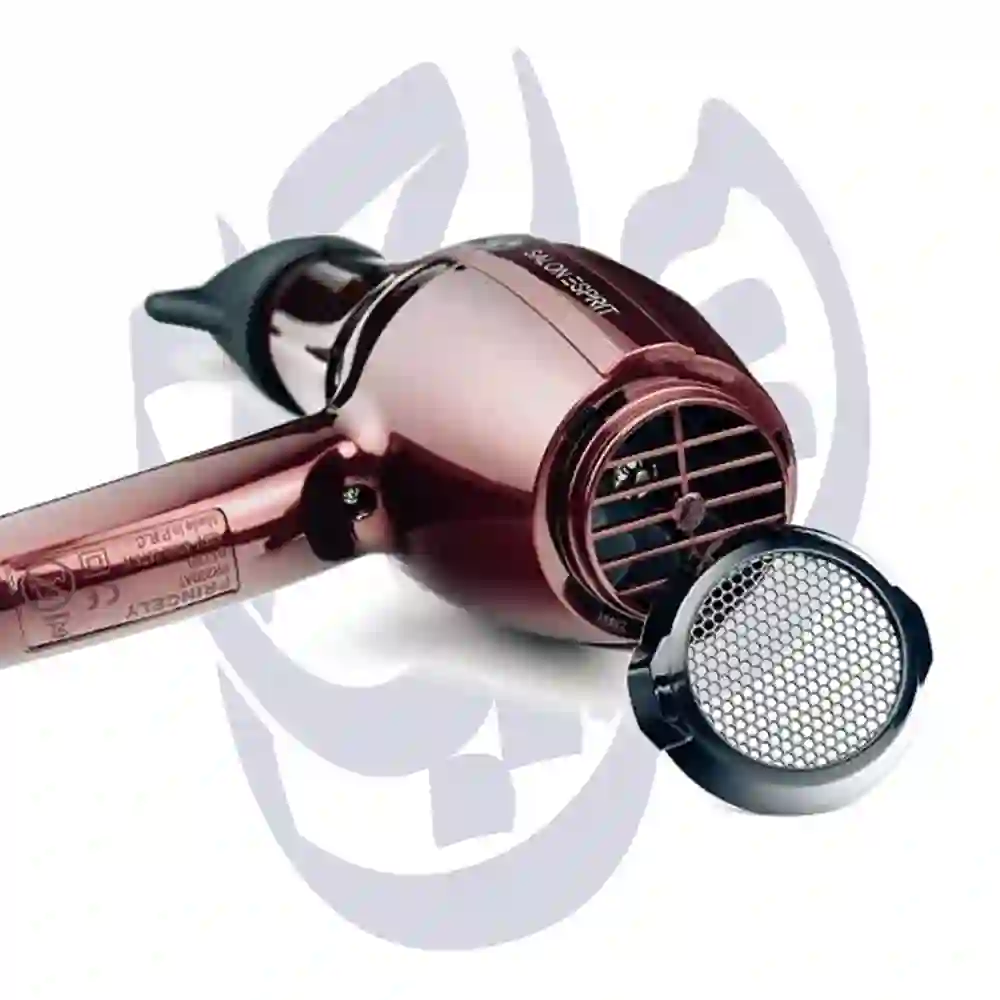 سشوار حرفه ای پرینسلی مدل Pr250AT